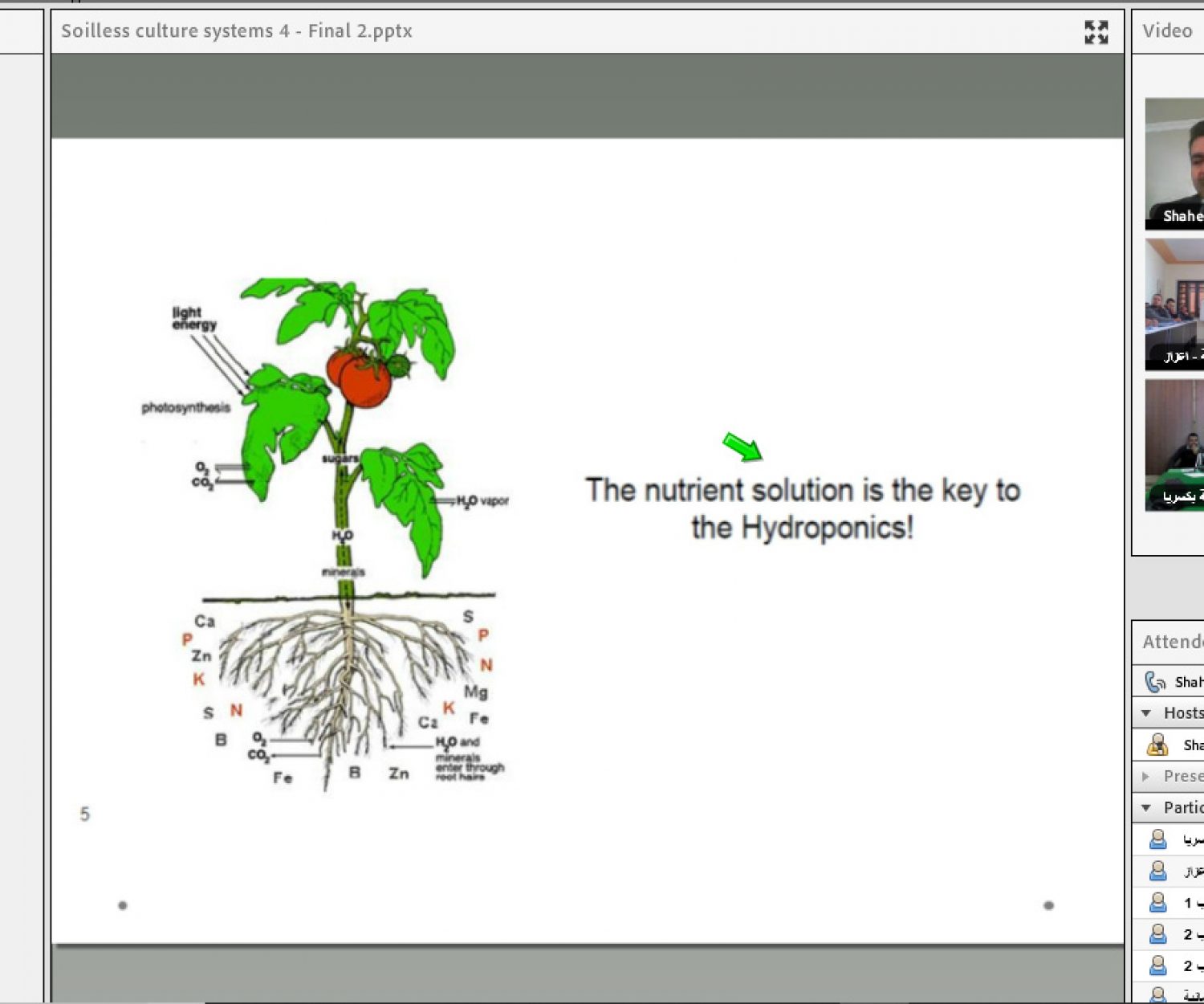 Sessions streaming via Adobe Connect to four community centres