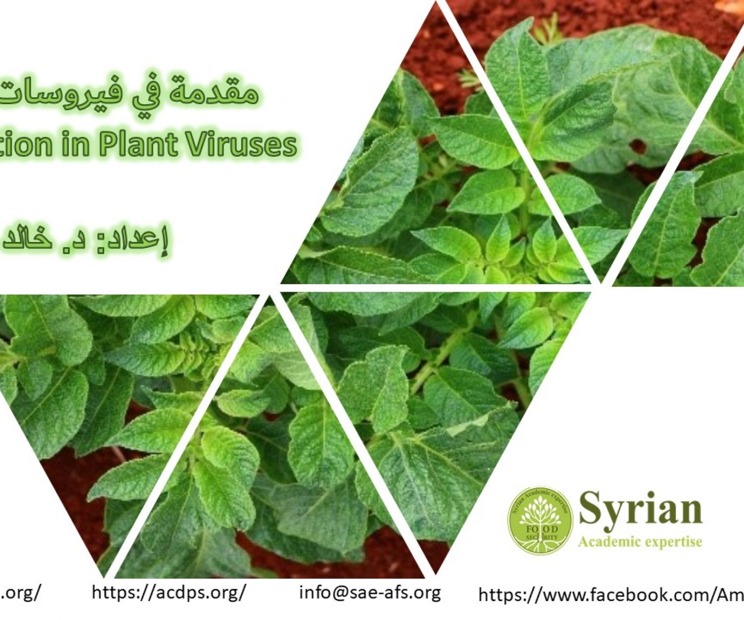 مقدمة في فيروسات النبات